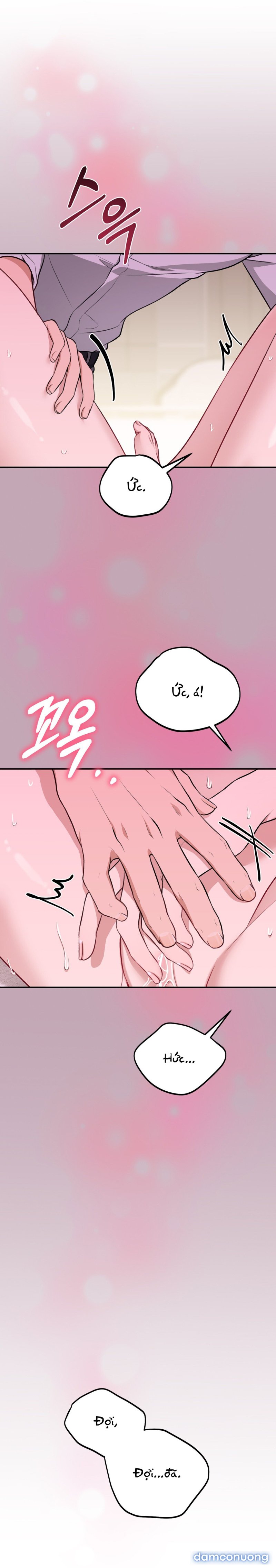 [18+] Cướp Dâu 