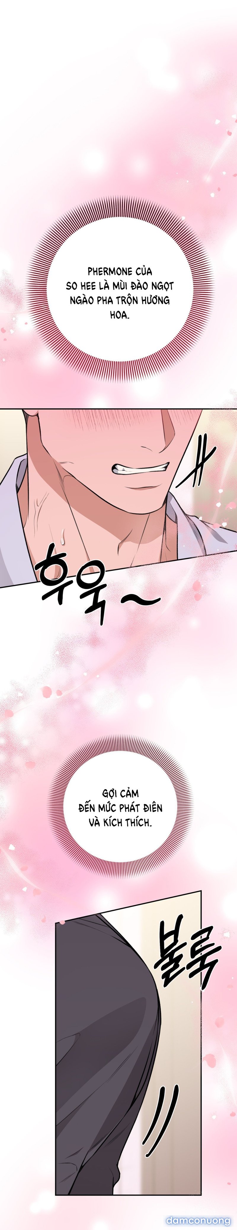 [18+] Cướp Dâu 