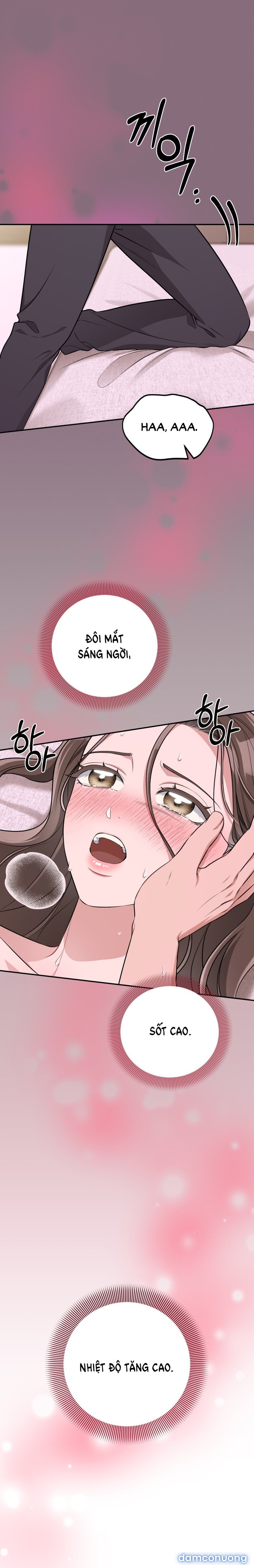 [18+] Cướp Dâu 