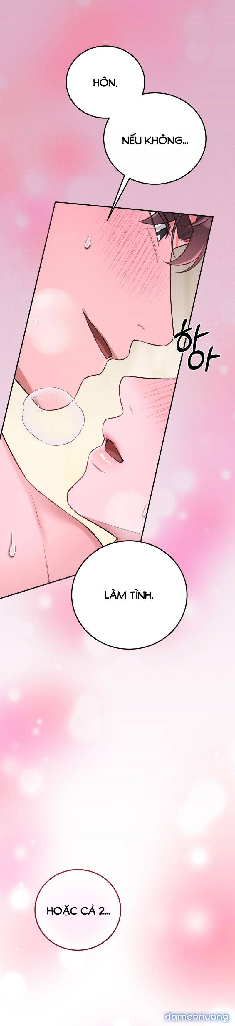 [18+] Cướp Dâu 