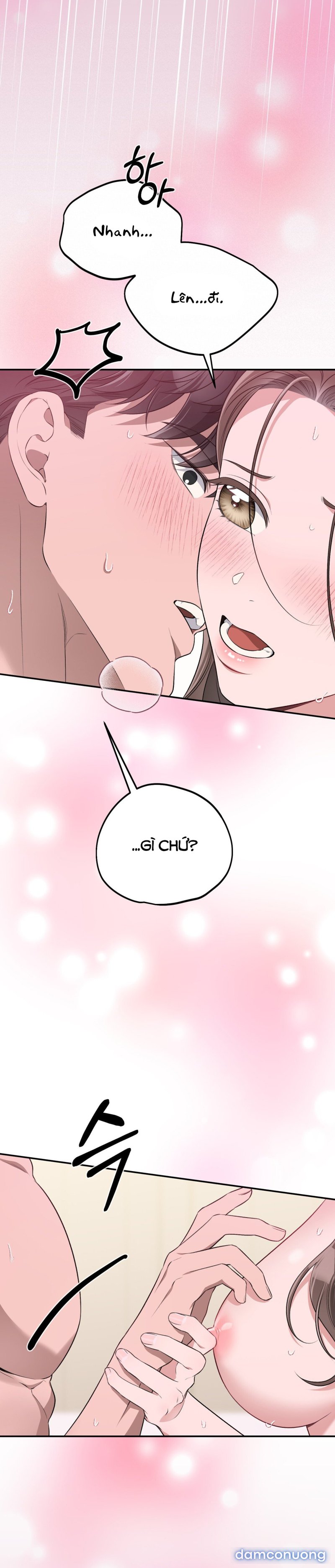 [18+] Cướp Dâu 