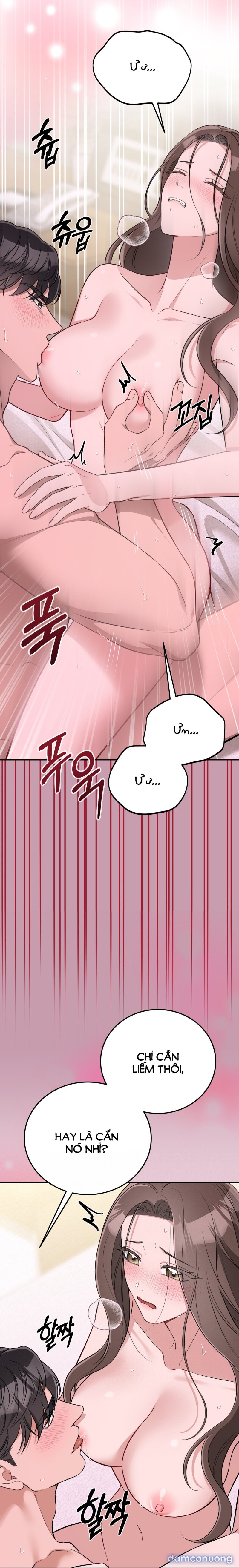 [18+] Cướp Dâu 