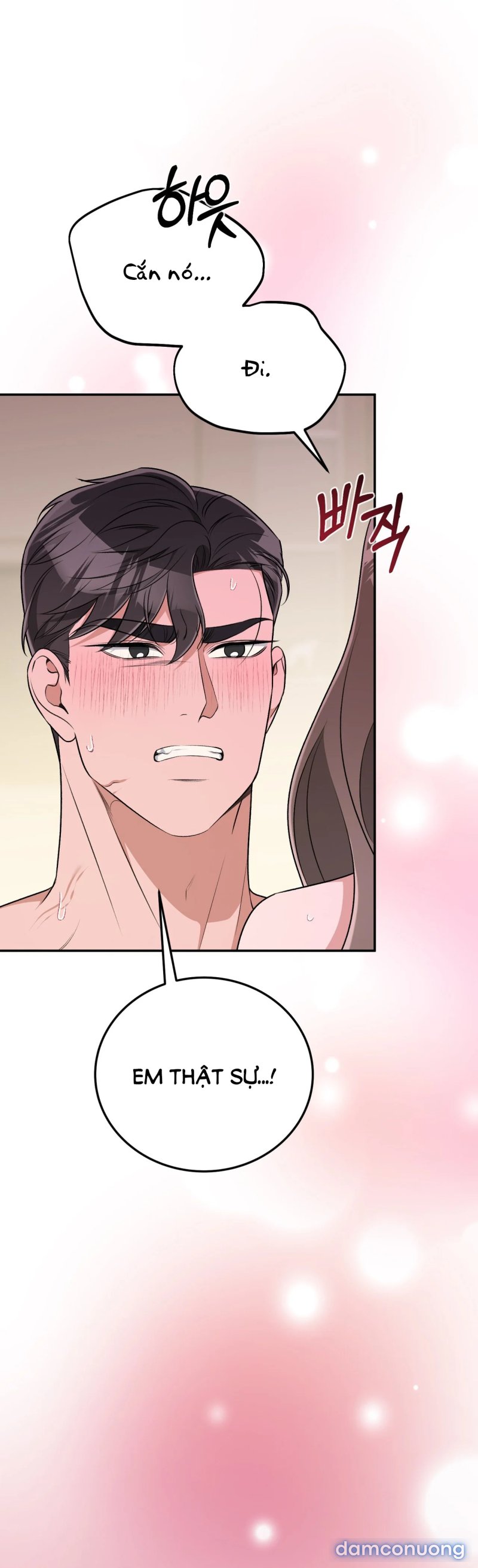 [18+] Cướp Dâu 