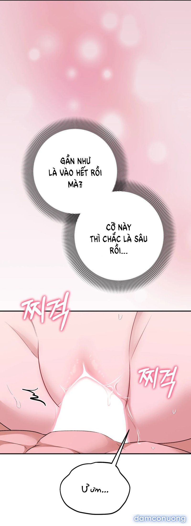 [18+] Cướp Dâu 