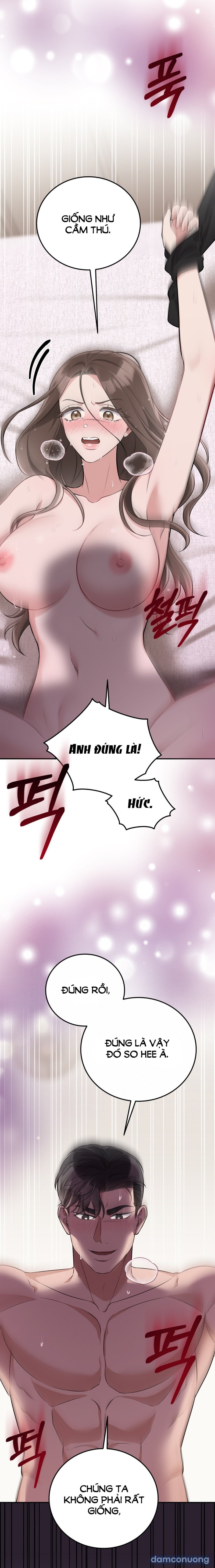 [18+] Cướp Dâu 