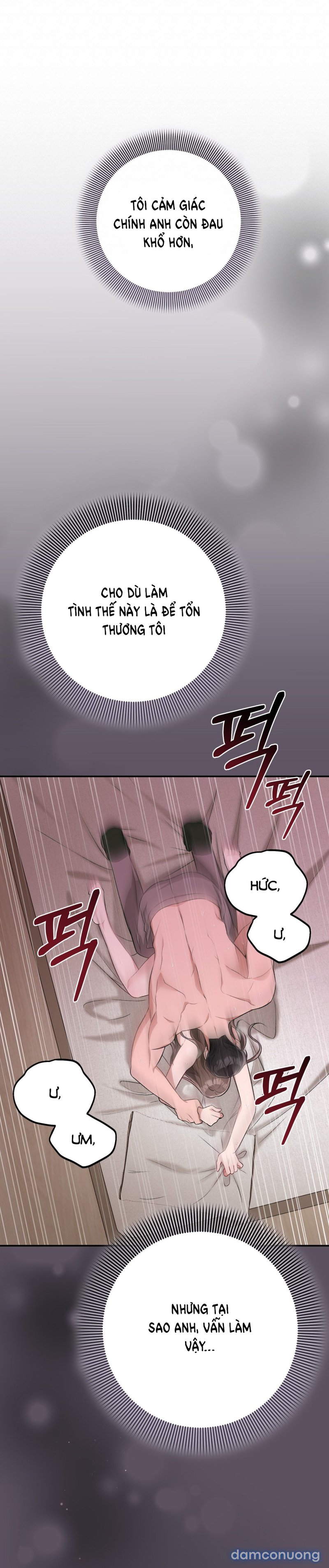 [18+] Cướp Dâu 