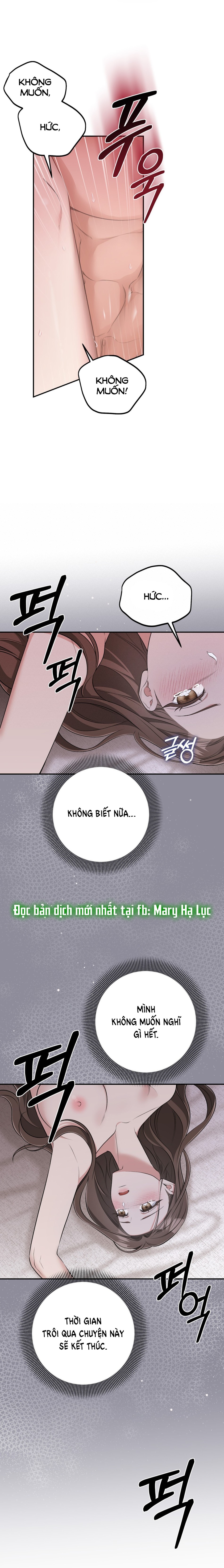 [18+] Cướp Dâu 