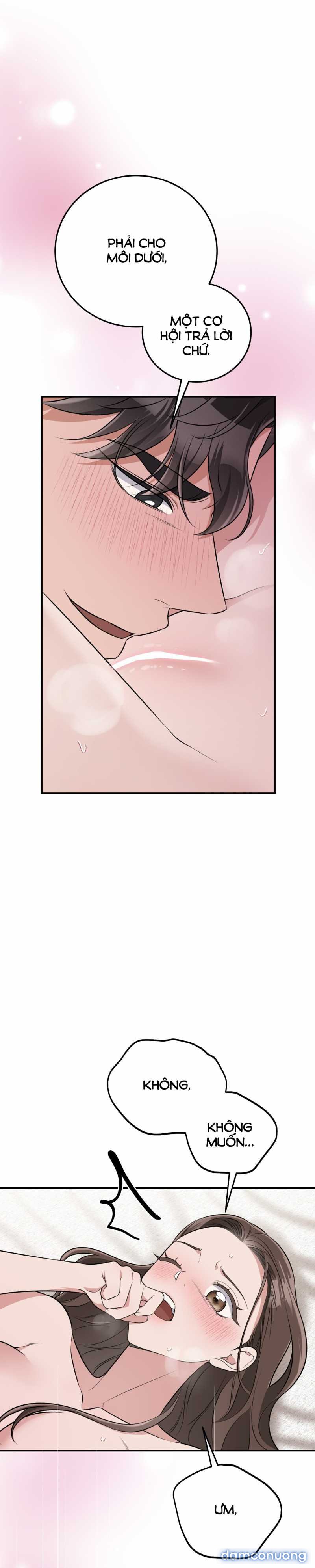 [18+] Cướp Dâu 