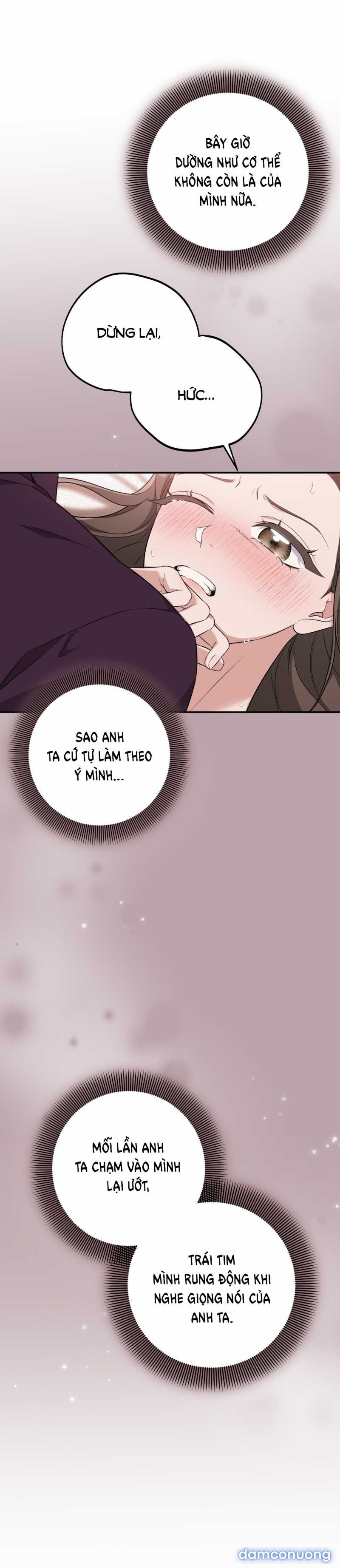 [18+] Cướp Dâu 