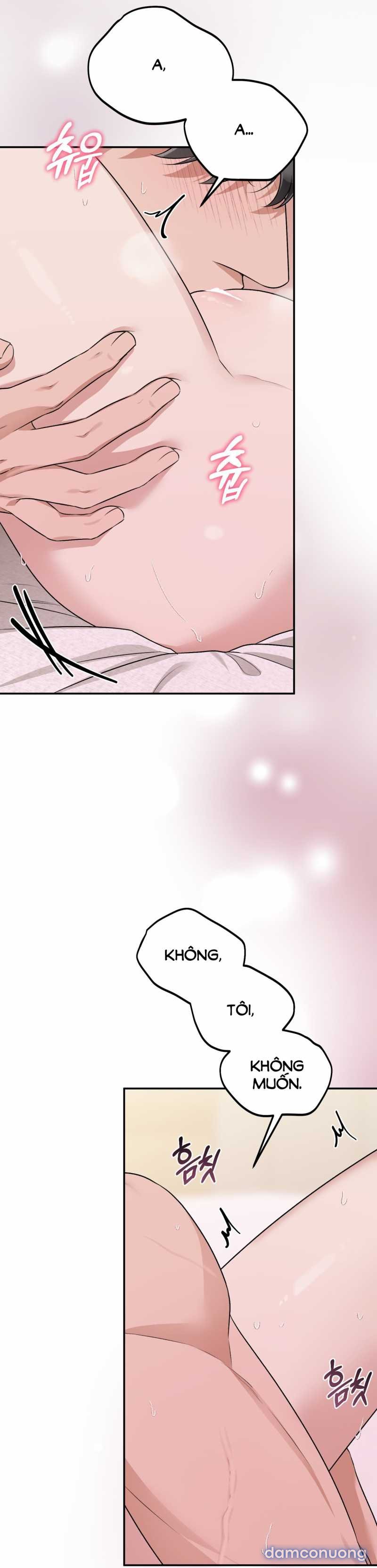 [18+] Cướp Dâu 