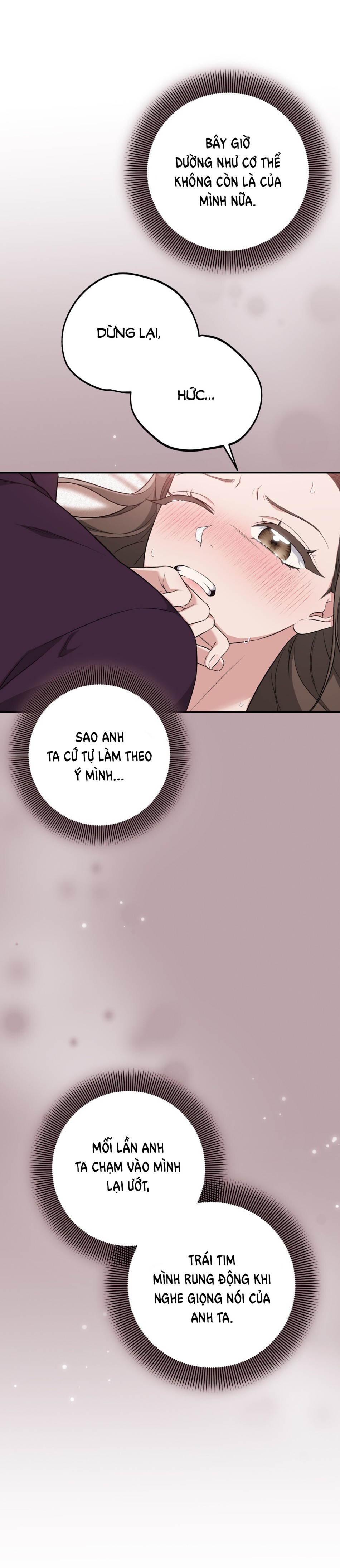 [18+] Cướp Dâu 