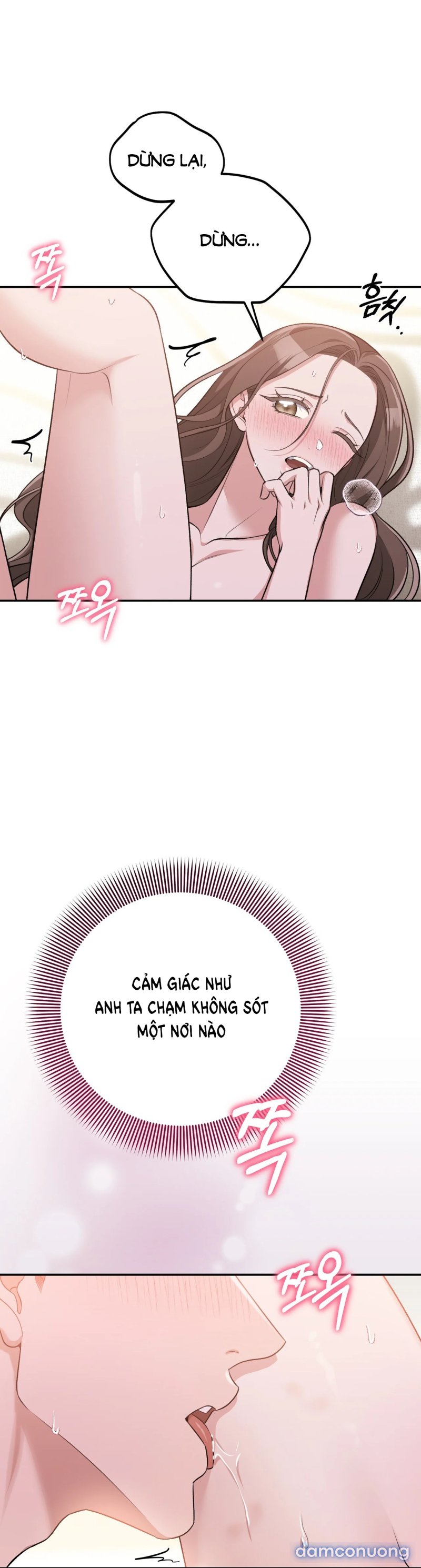 [18+] Cướp Dâu 