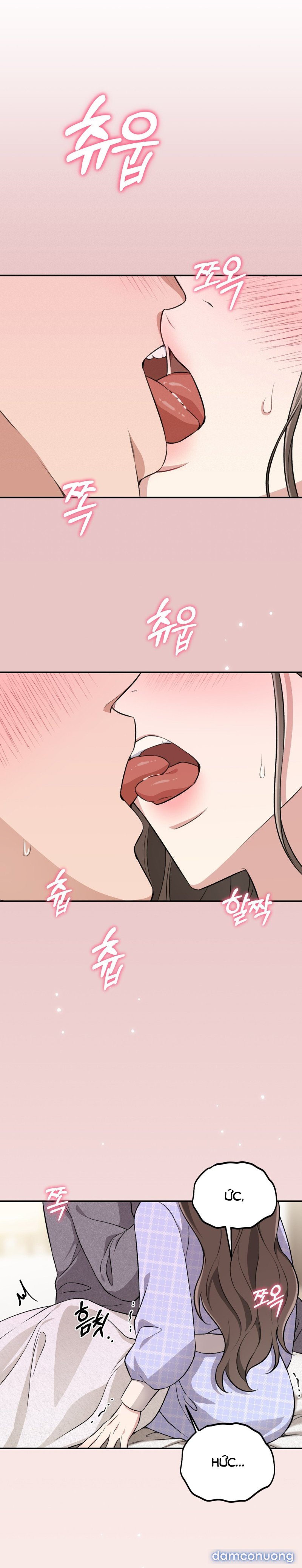 [18+] Cướp Dâu 