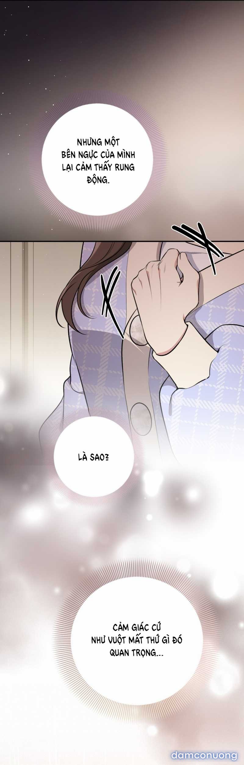 [18+] Cướp Dâu 