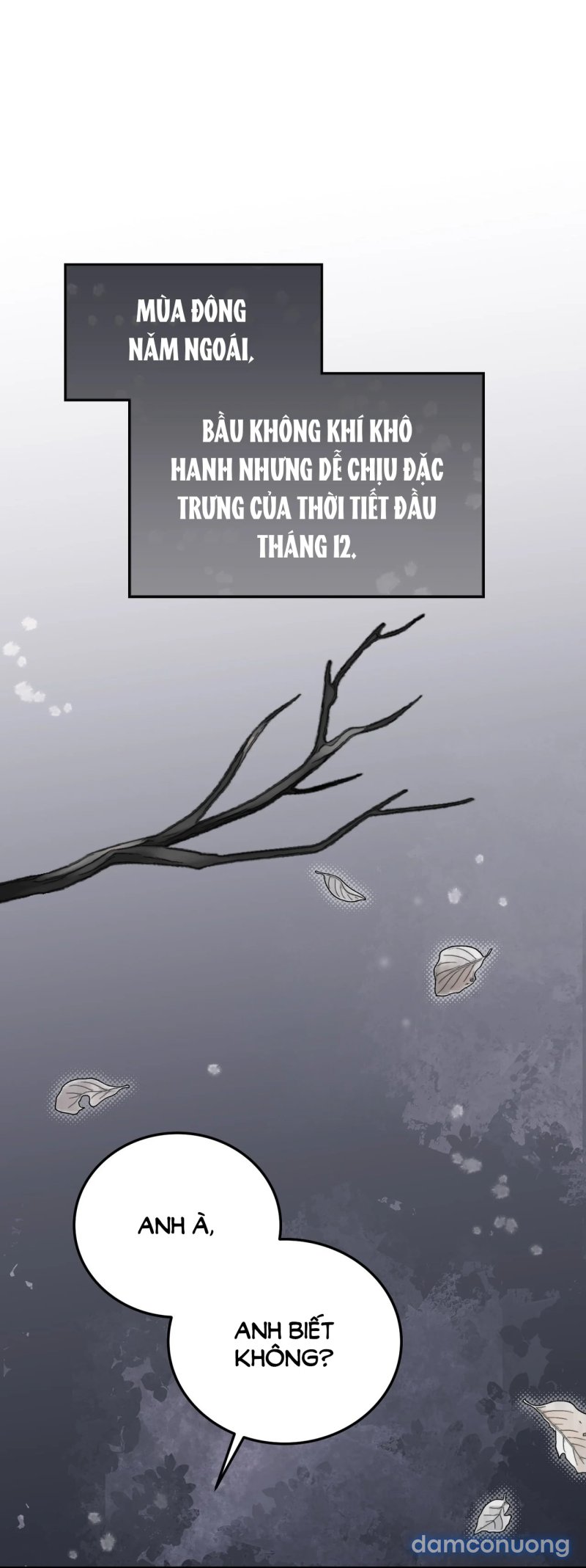 [18+] Cướp Dâu 