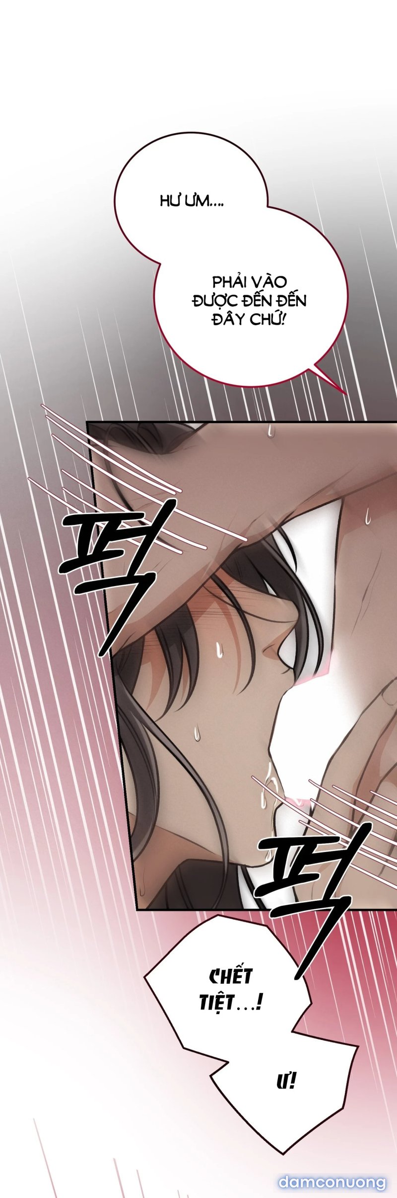 [18+] Cướp Dâu 