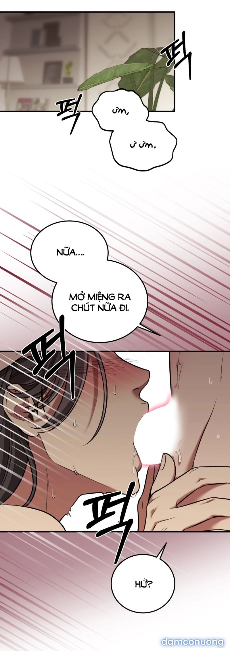 [18+] Cướp Dâu 
