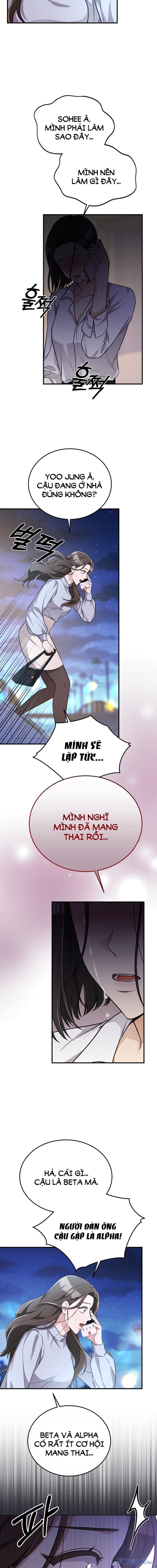 [18+] Cướp Dâu 