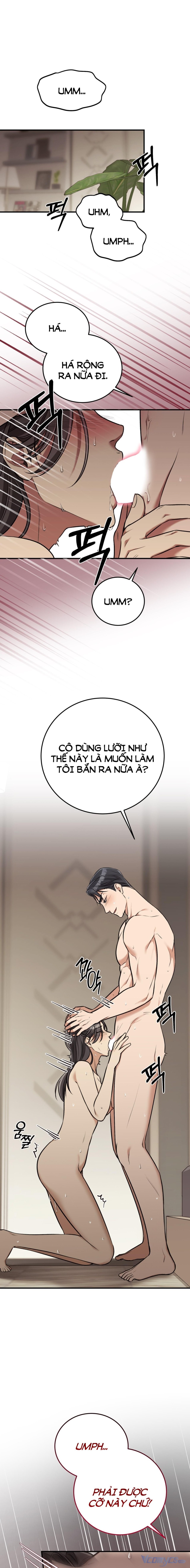 [18+] Cướp Dâu 
