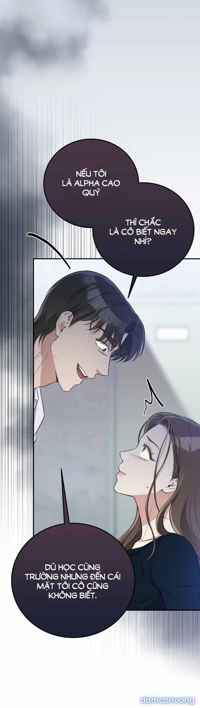 [18+] Cướp Dâu 