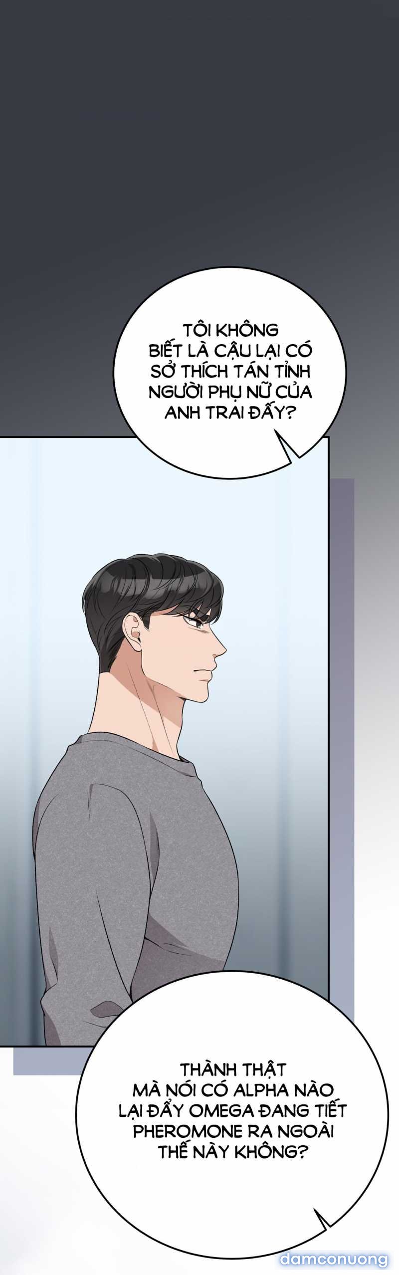 [18+] Cướp Dâu 