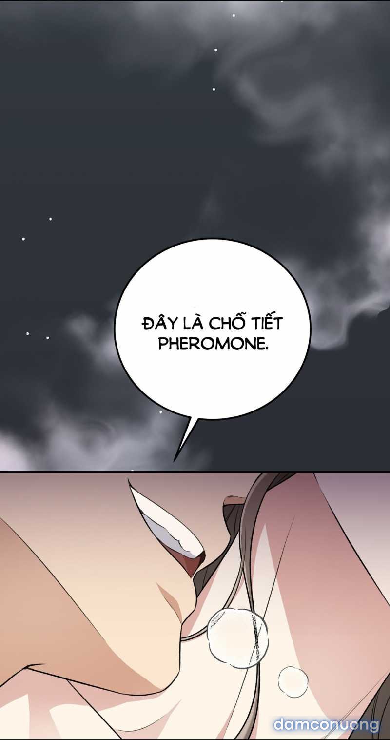 [18+] Cướp Dâu 