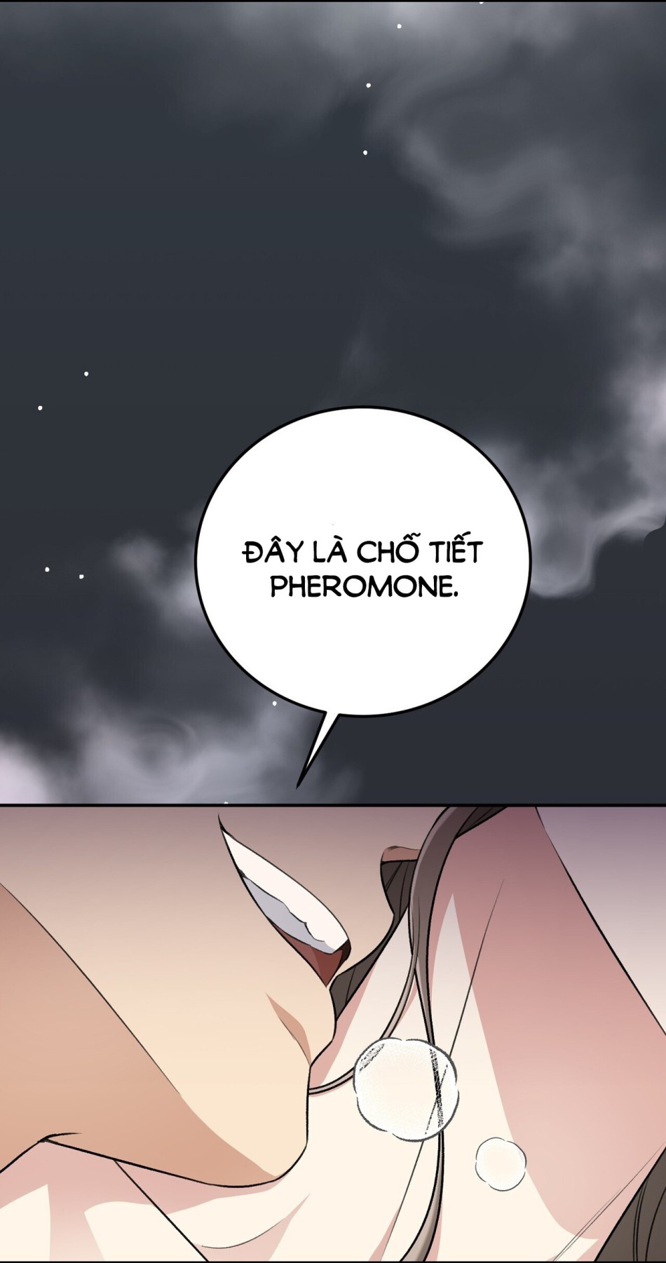 [18+] Cướp Dâu 