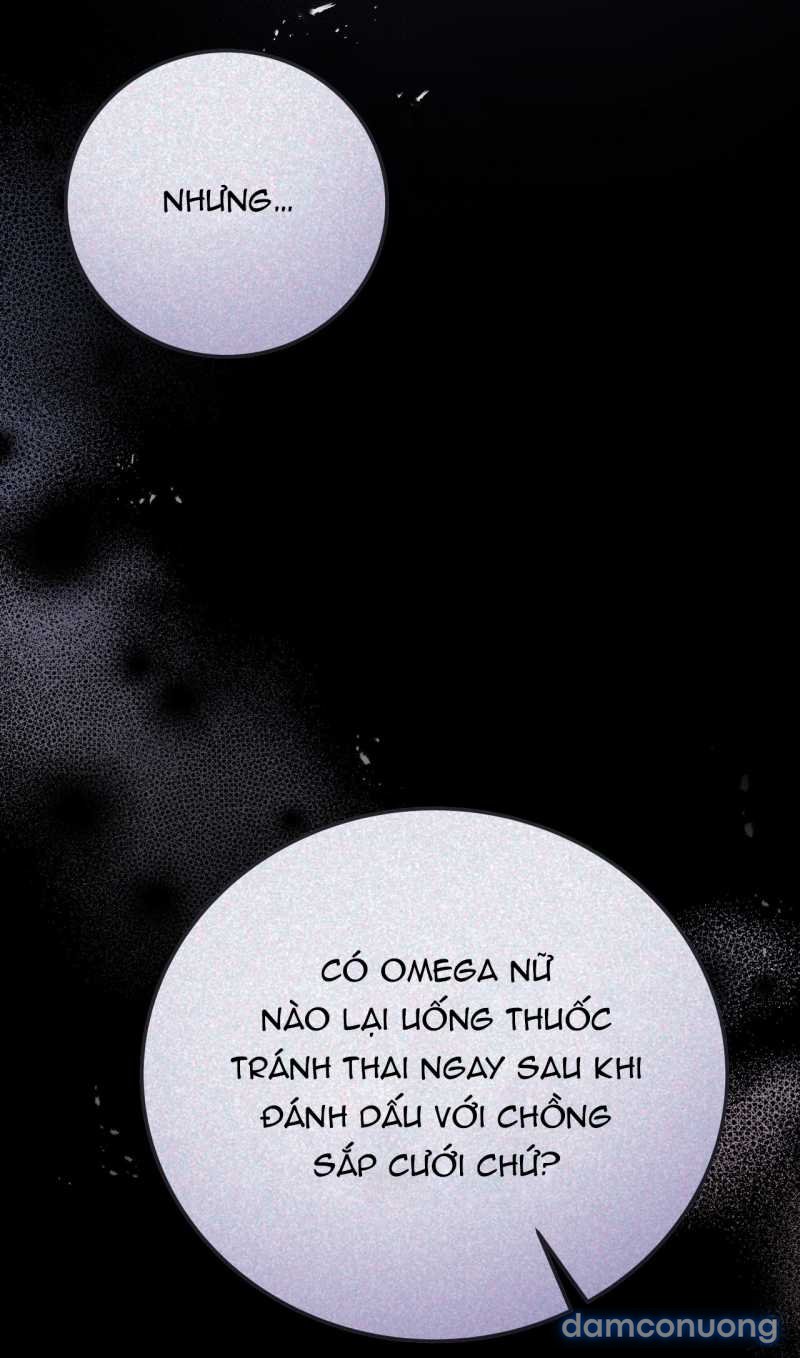 [18+] Cướp Dâu 