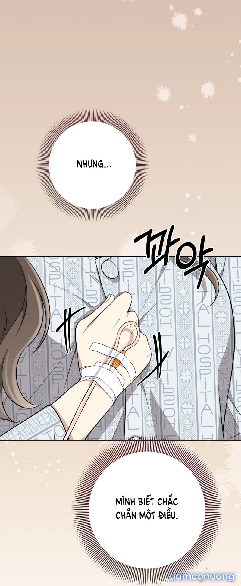 [18+] Cướp Dâu 