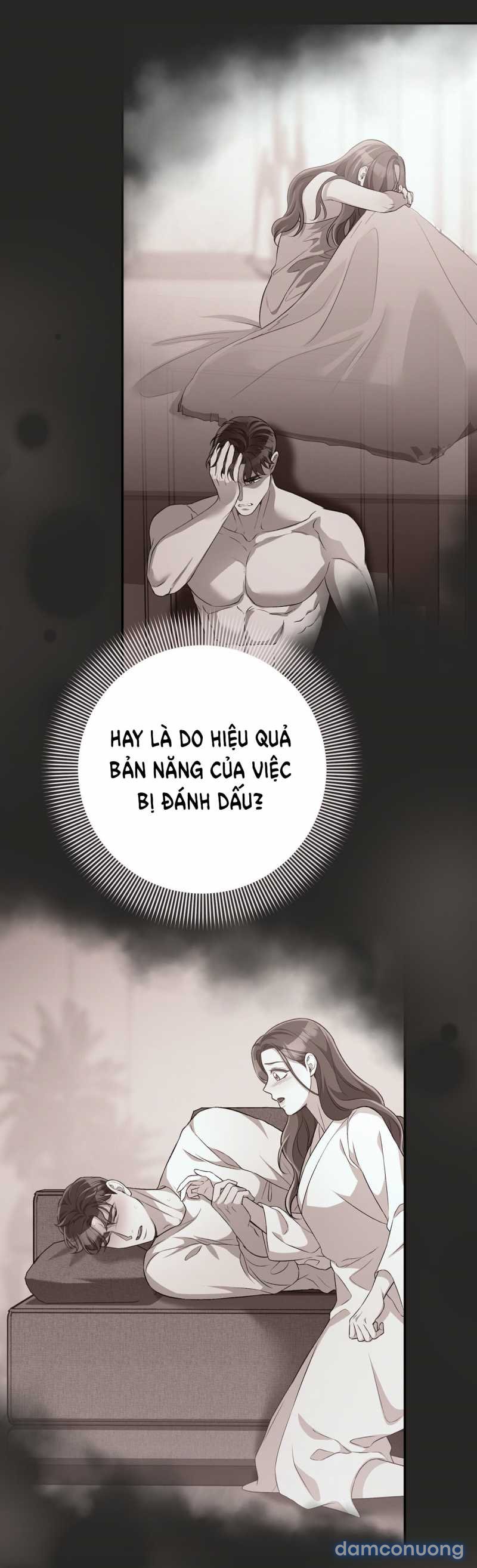 [18+] Cướp Dâu 