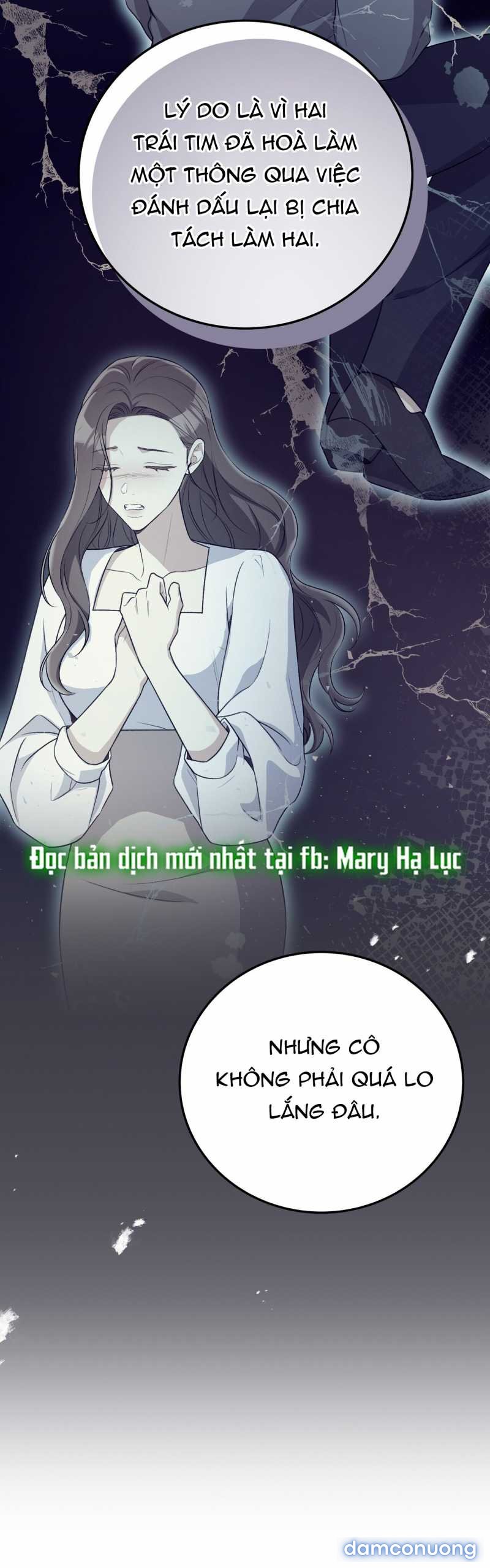 [18+] Cướp Dâu 