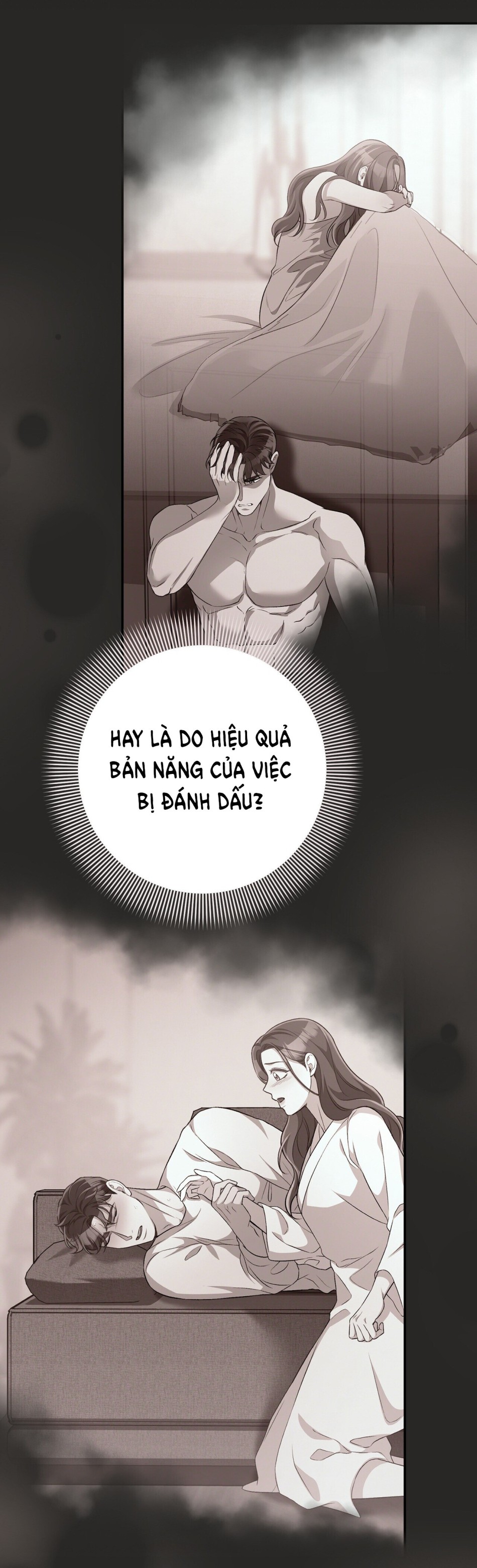 [18+] Cướp Dâu 