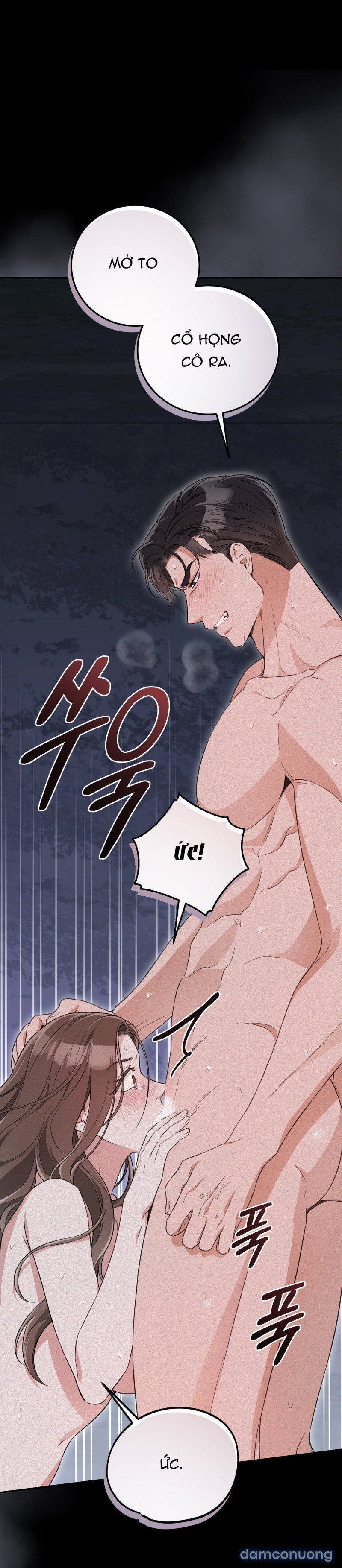 [18+] Cướp Dâu 