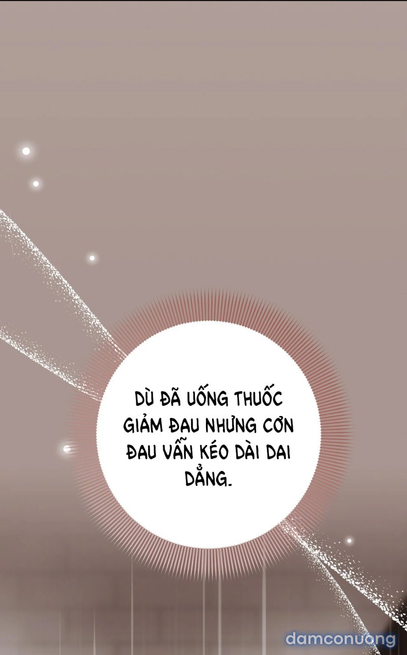 [18+] Cướp Dâu 