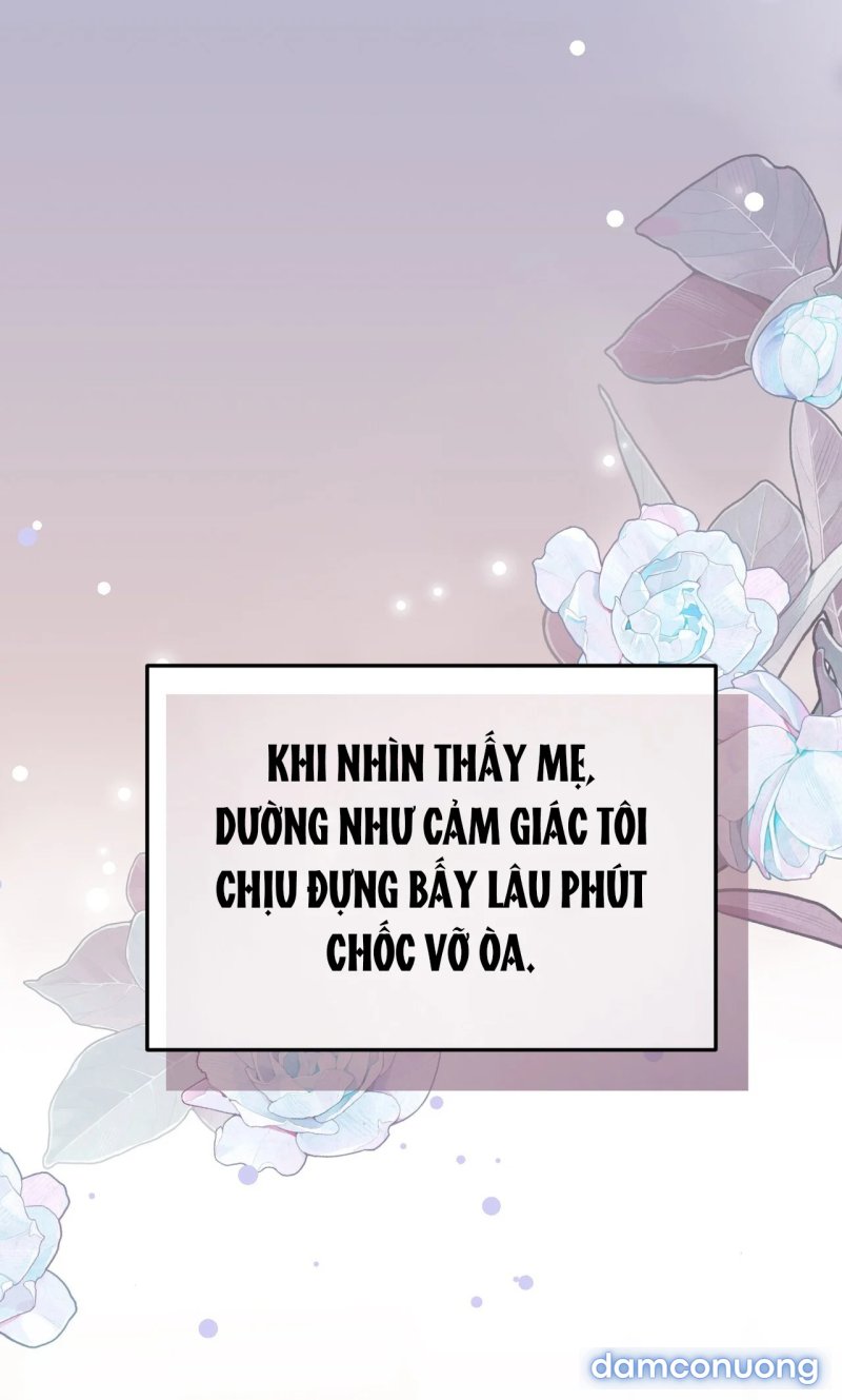 [18+] Cướp Dâu 