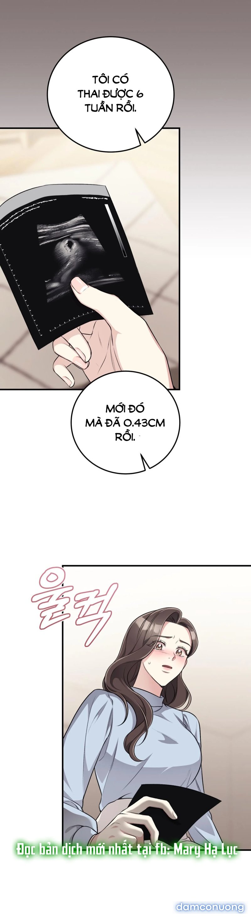 [18+] Cướp Dâu 