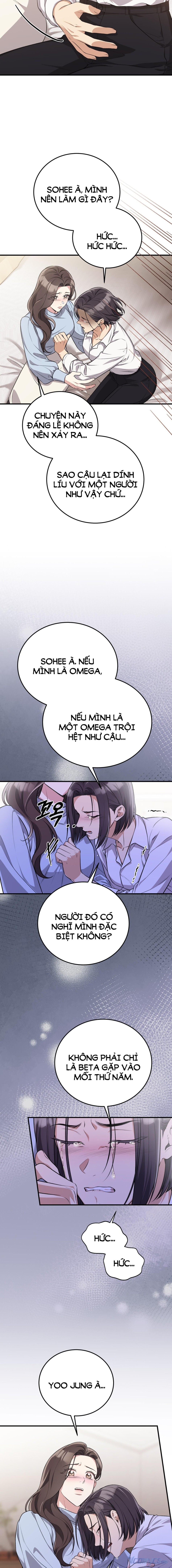 [18+] Cướp Dâu 