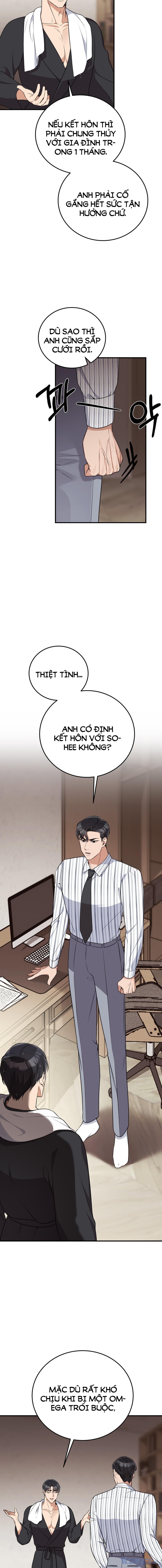 [18+] Cướp Dâu 