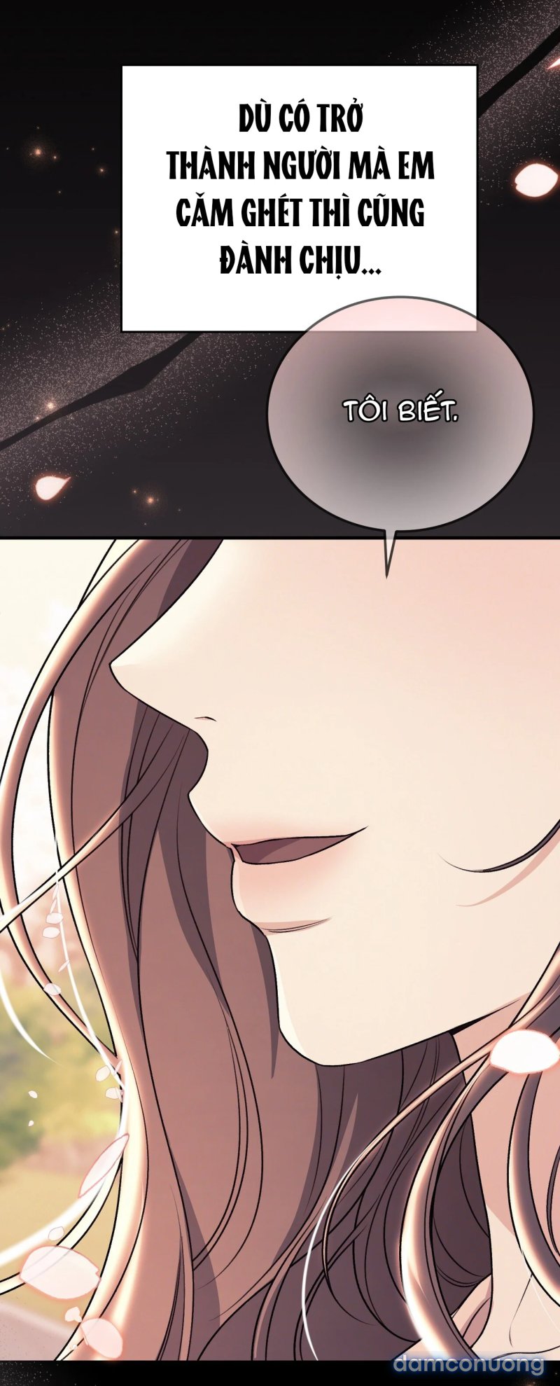 [18+] Cướp Dâu 