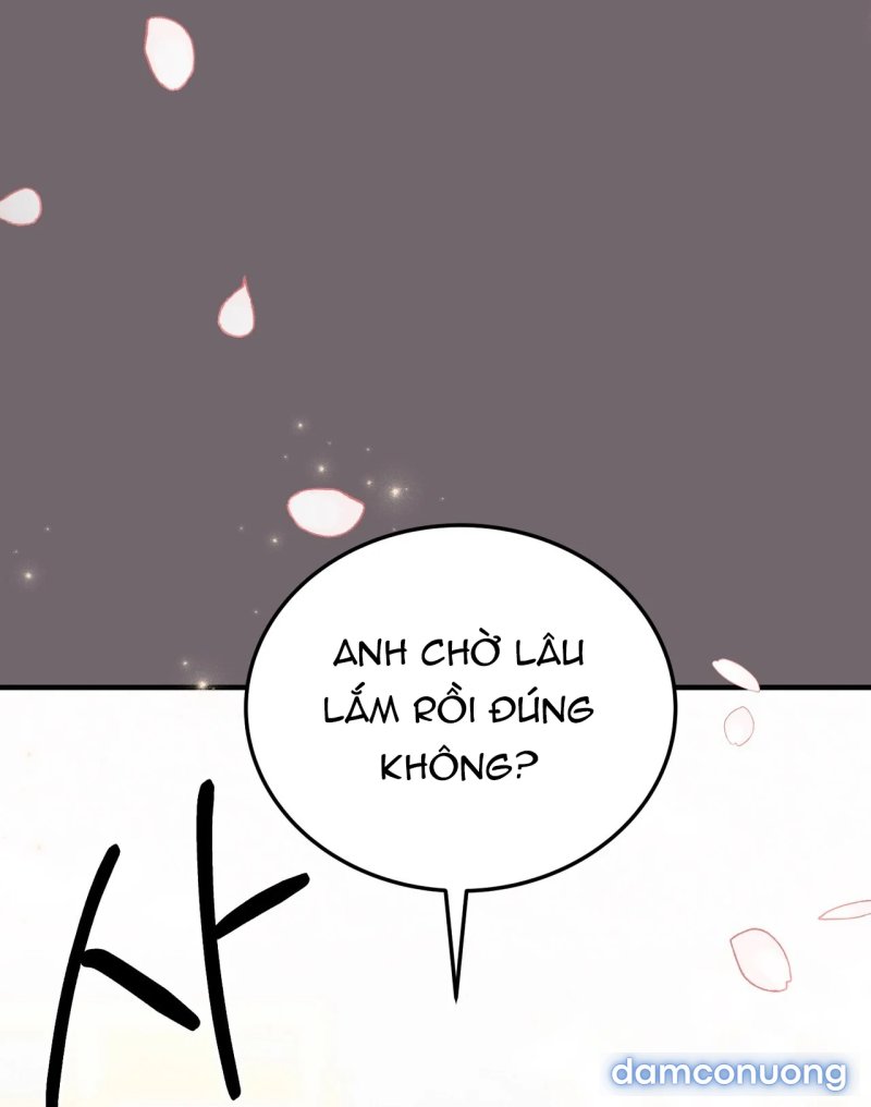 [18+] Cướp Dâu 