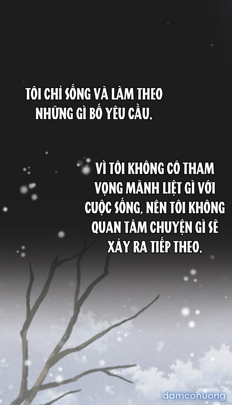 [18+] Cướp Dâu 