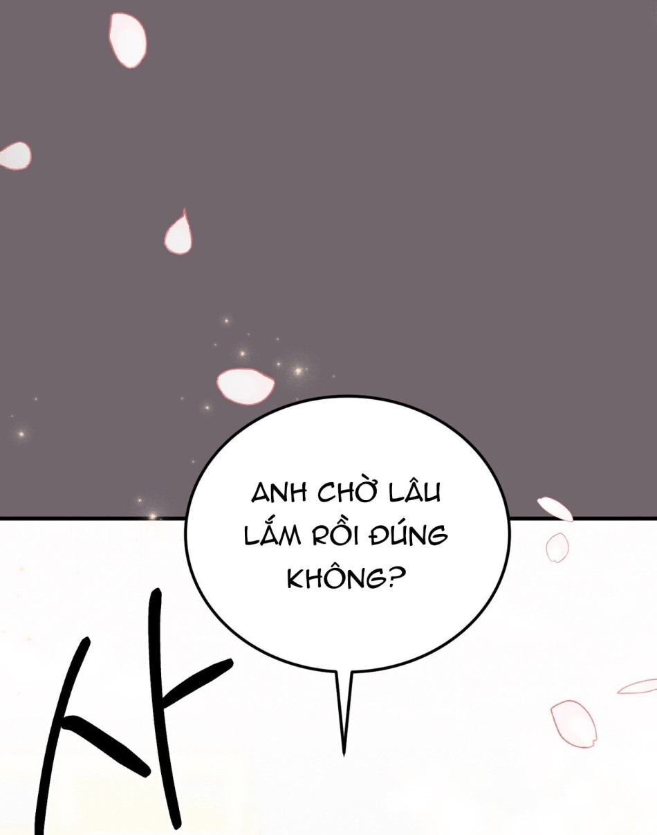 [18+] Cướp Dâu 