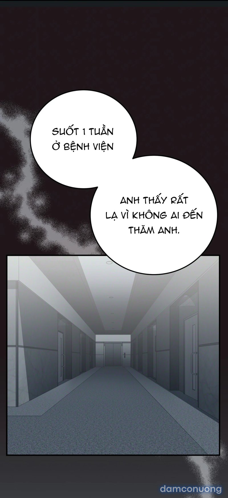 [18+] Cướp Dâu 