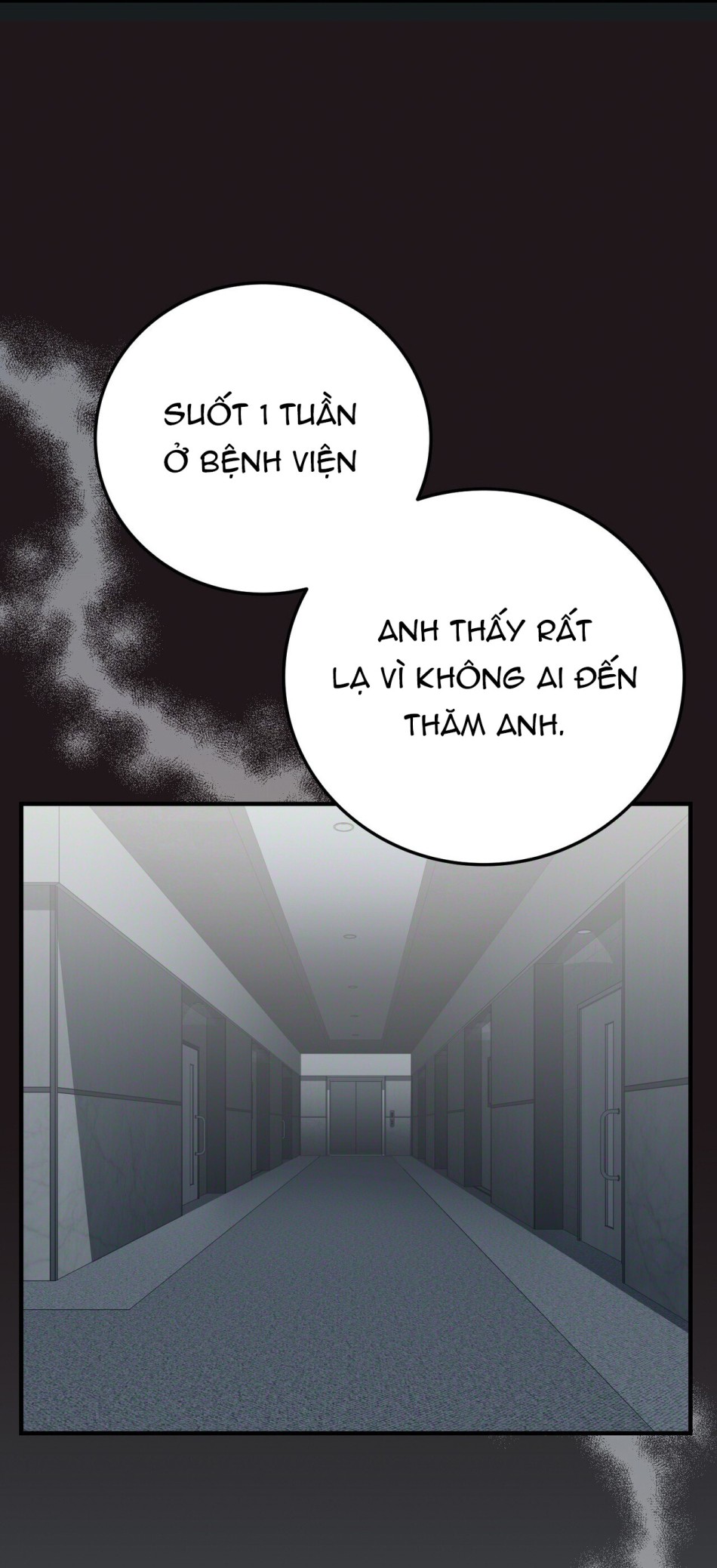 [18+] Cướp Dâu 