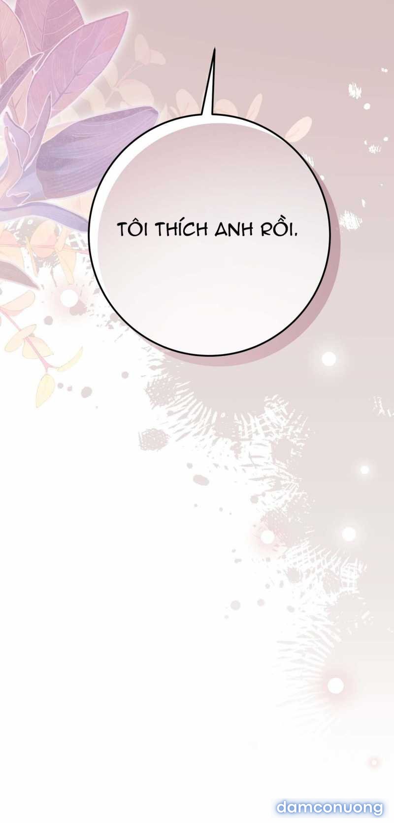[18+] Cướp Dâu 
