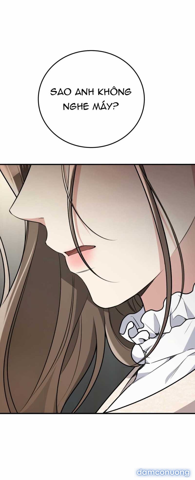 [18+] Cướp Dâu 