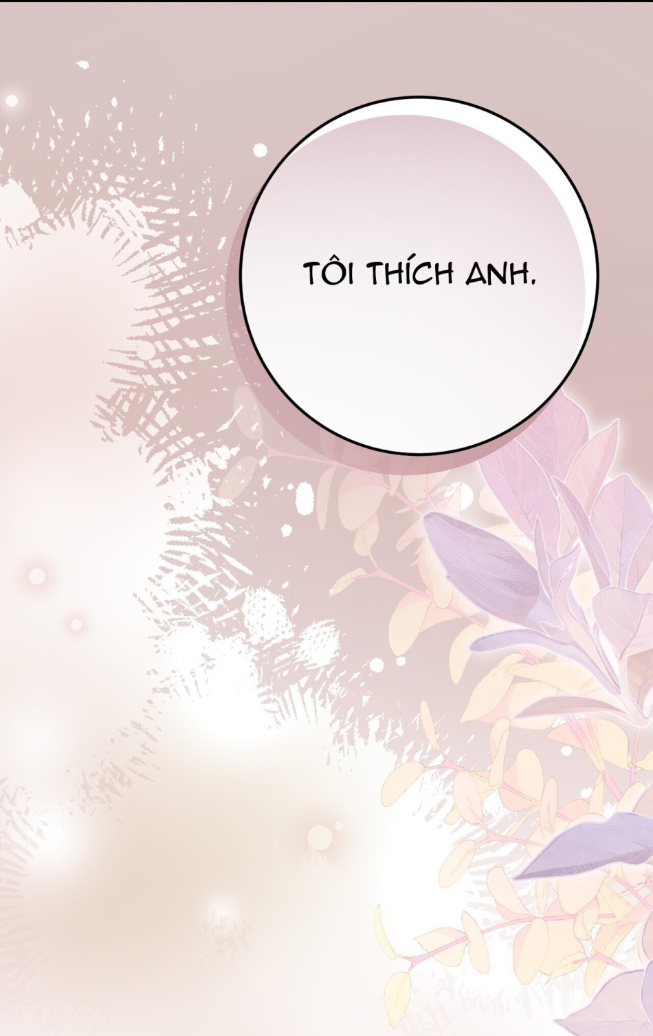 [18+] Cướp Dâu 