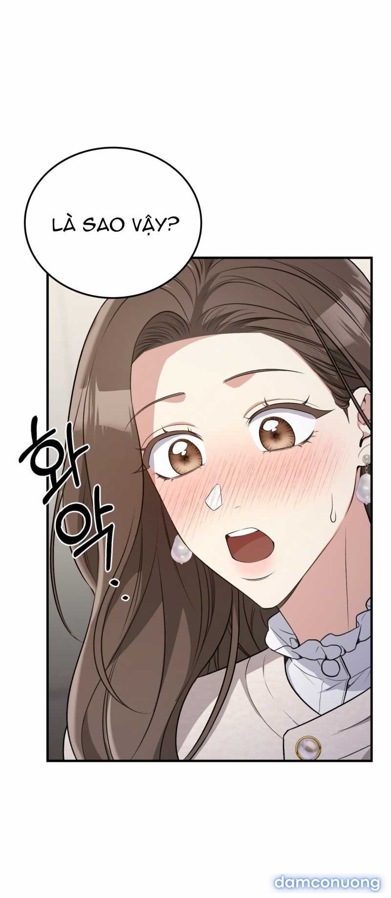 [18+] Cướp Dâu 
