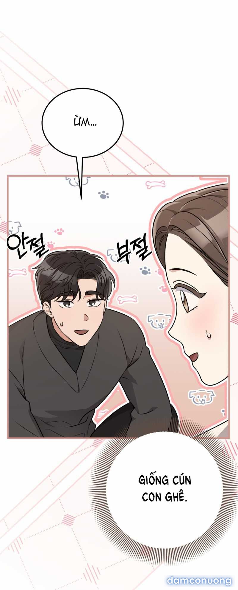 [18+] Cướp Dâu 