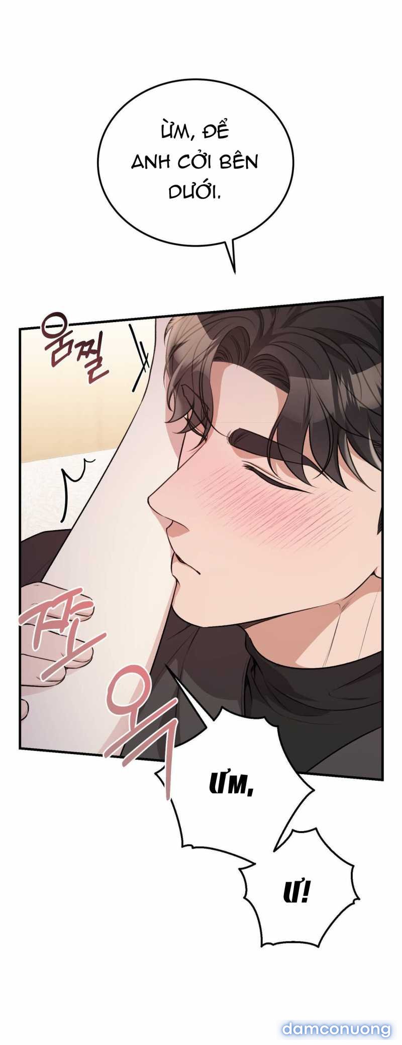 [18+] Cướp Dâu 